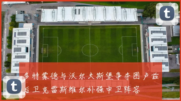多特蒙德与沃尔夫斯堡争夺图卢兹后卫克雷斯维尔补强中卫阵容