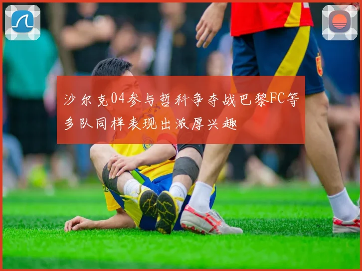 沙尔克04参与哲科争夺战巴黎FC等多队同样表现出浓厚兴趣