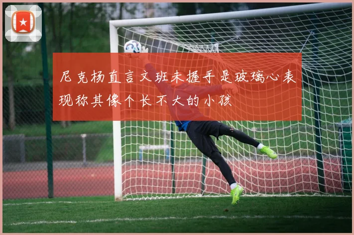 尼克杨直言文班未握手是玻璃心表现称其像个长不大的小孩