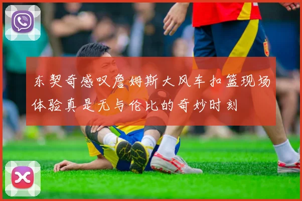 东契奇感叹詹姆斯大风车扣篮现场体验真是无与伦比的奇妙时刻